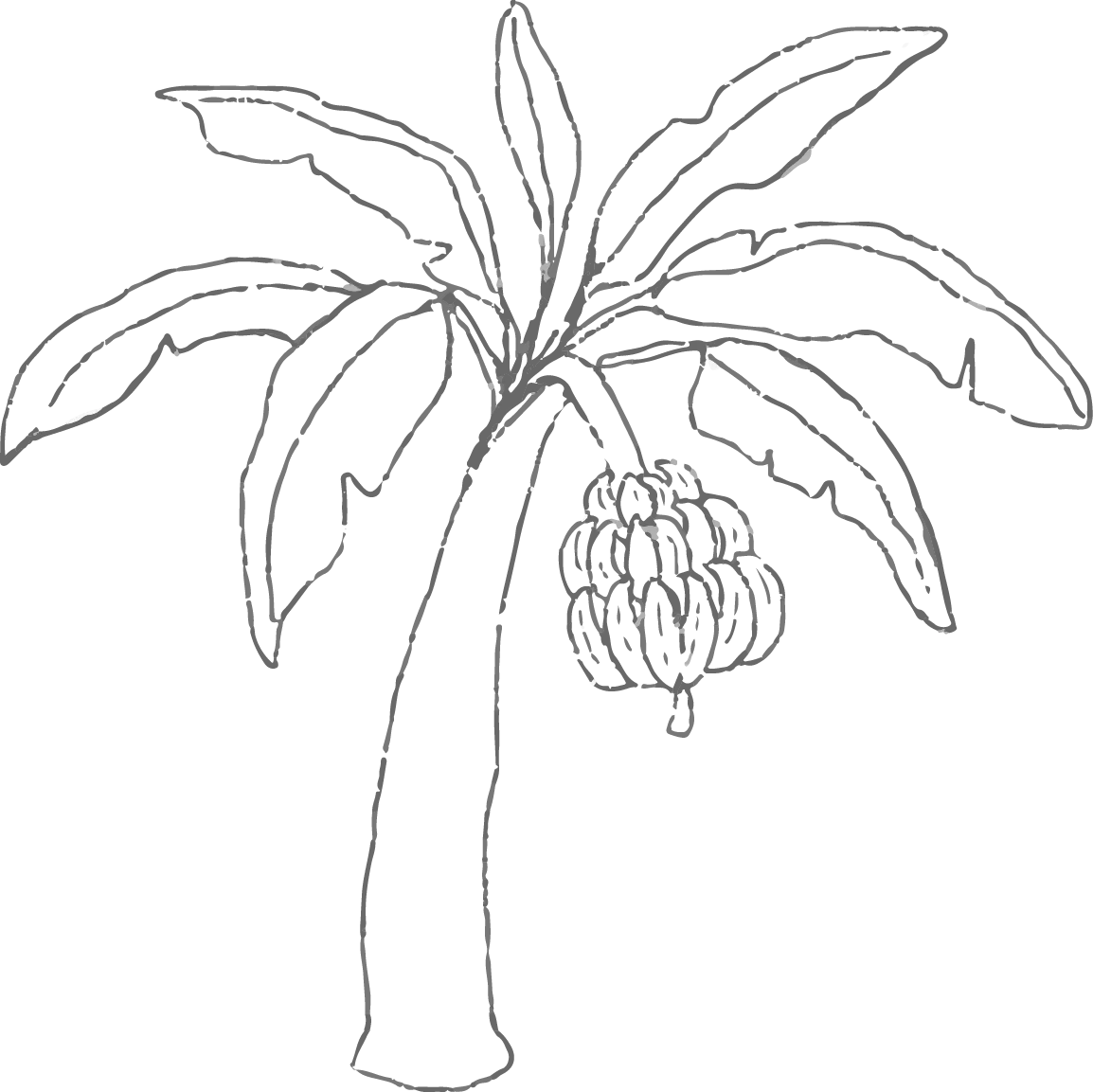 Palme 10x10
